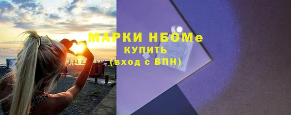 индика Аркадак