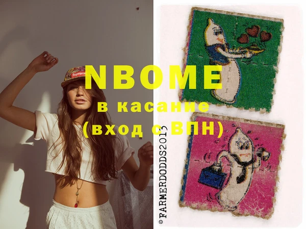 индика Аркадак