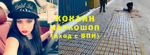 индика Аркадак