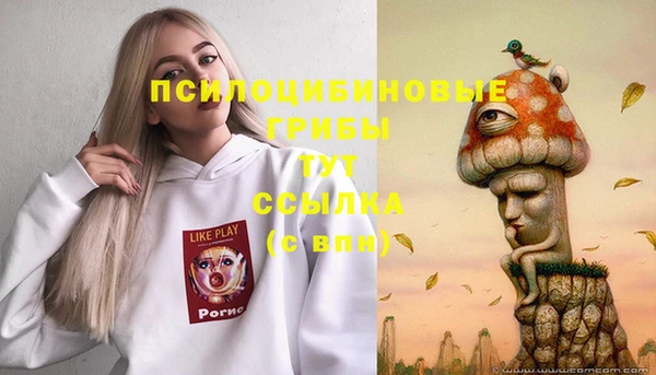 герыч Алексин