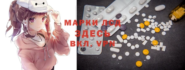 индика Аркадак
