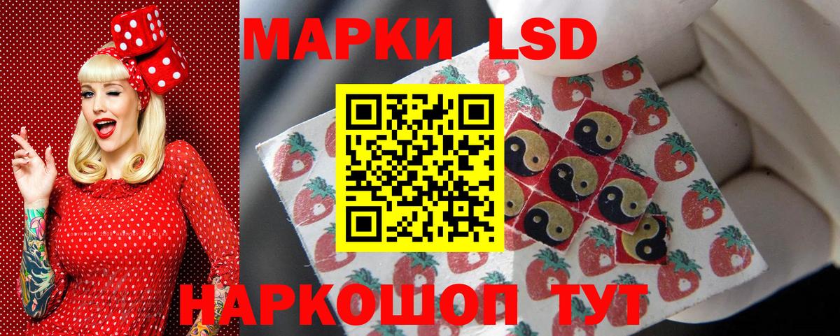 Наркотические марки  Наркотические марки 1,5мг  Заречный  купить наркотик  Наркотические марки 1,5мг  Вход с VPN 