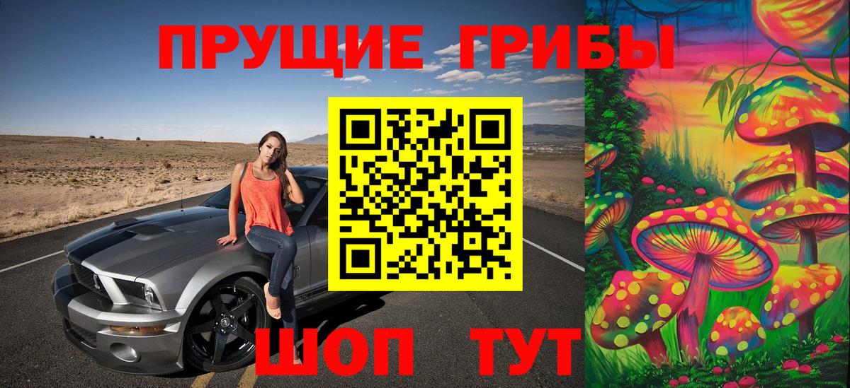 Заречный  Псилоцибиновые грибы MAGIC MUSHROOMS  Вход с VPN  Галлюциногенные грибы GOLDEN TEACHER 