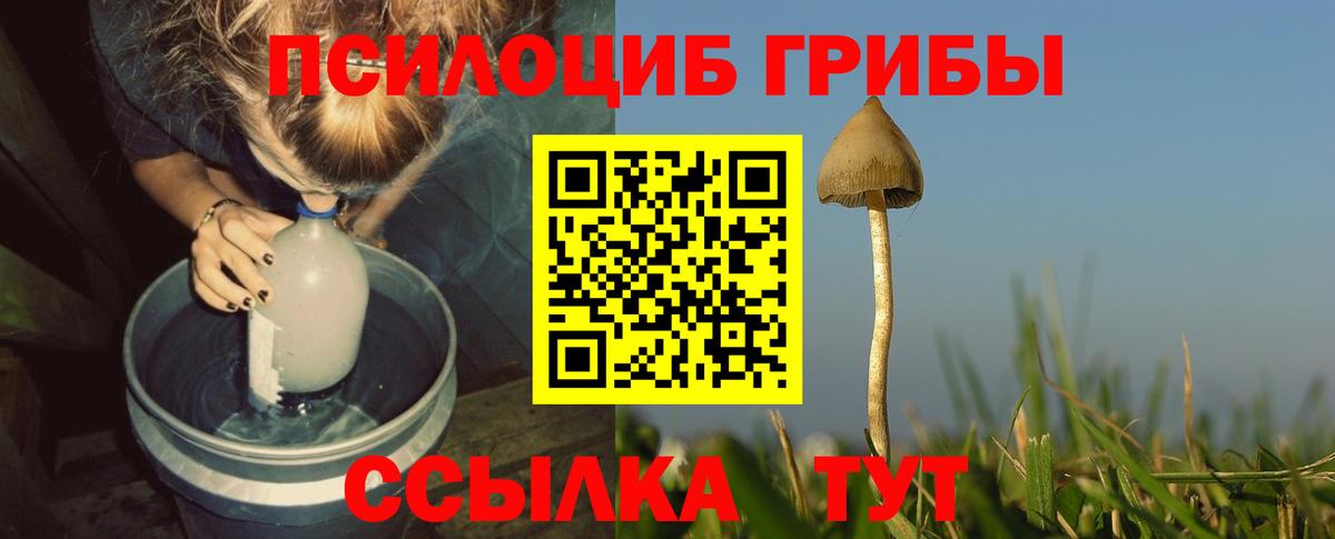 Псилоцибиновые грибы Magic Shrooms Заречный